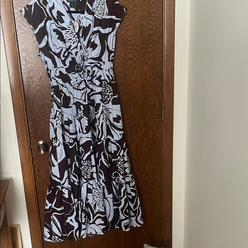 Cynthia Rowley Brown  and  Powder blue Patterned Maxi Dress